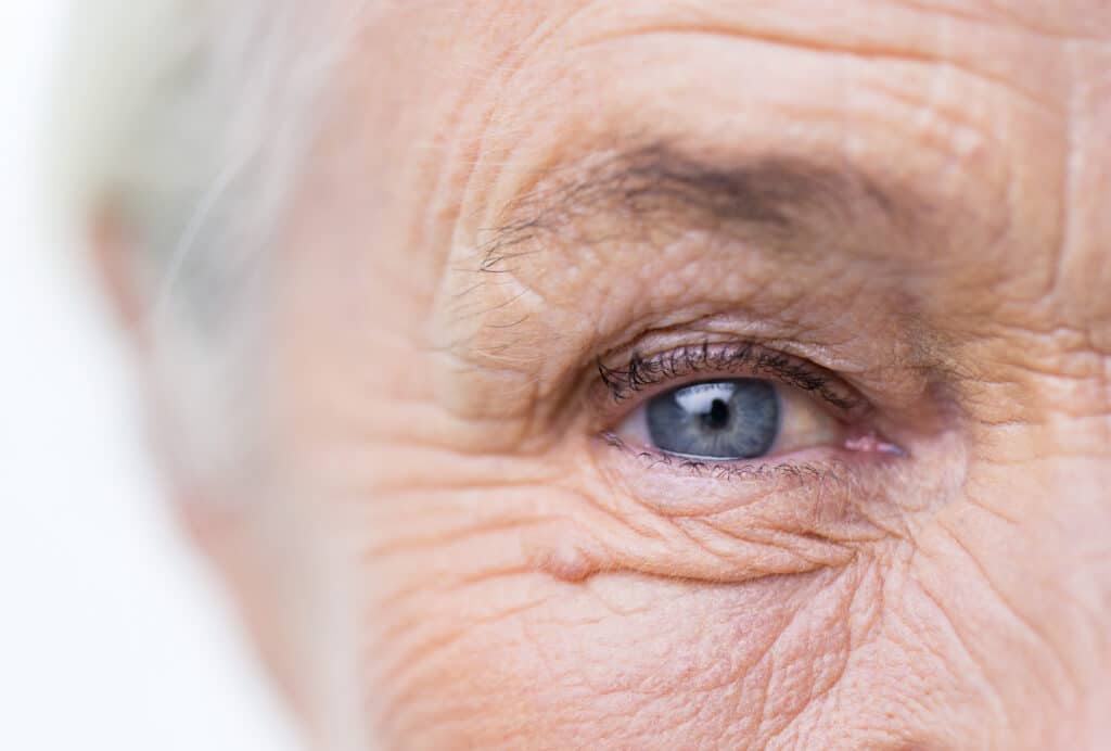 Senior Home Care in Downers Grove IL